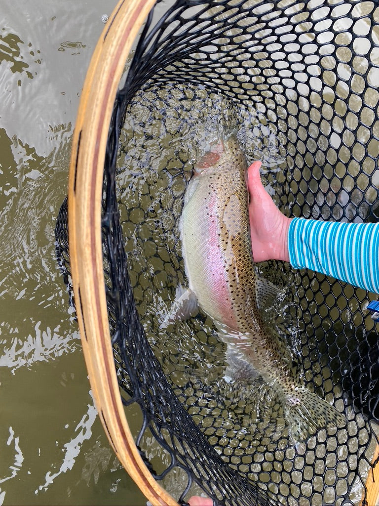 Windy Weekend Report - Last Weekend And This One.