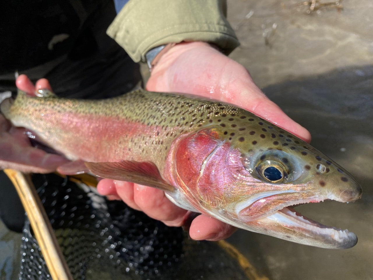 The entire river is now OPEN