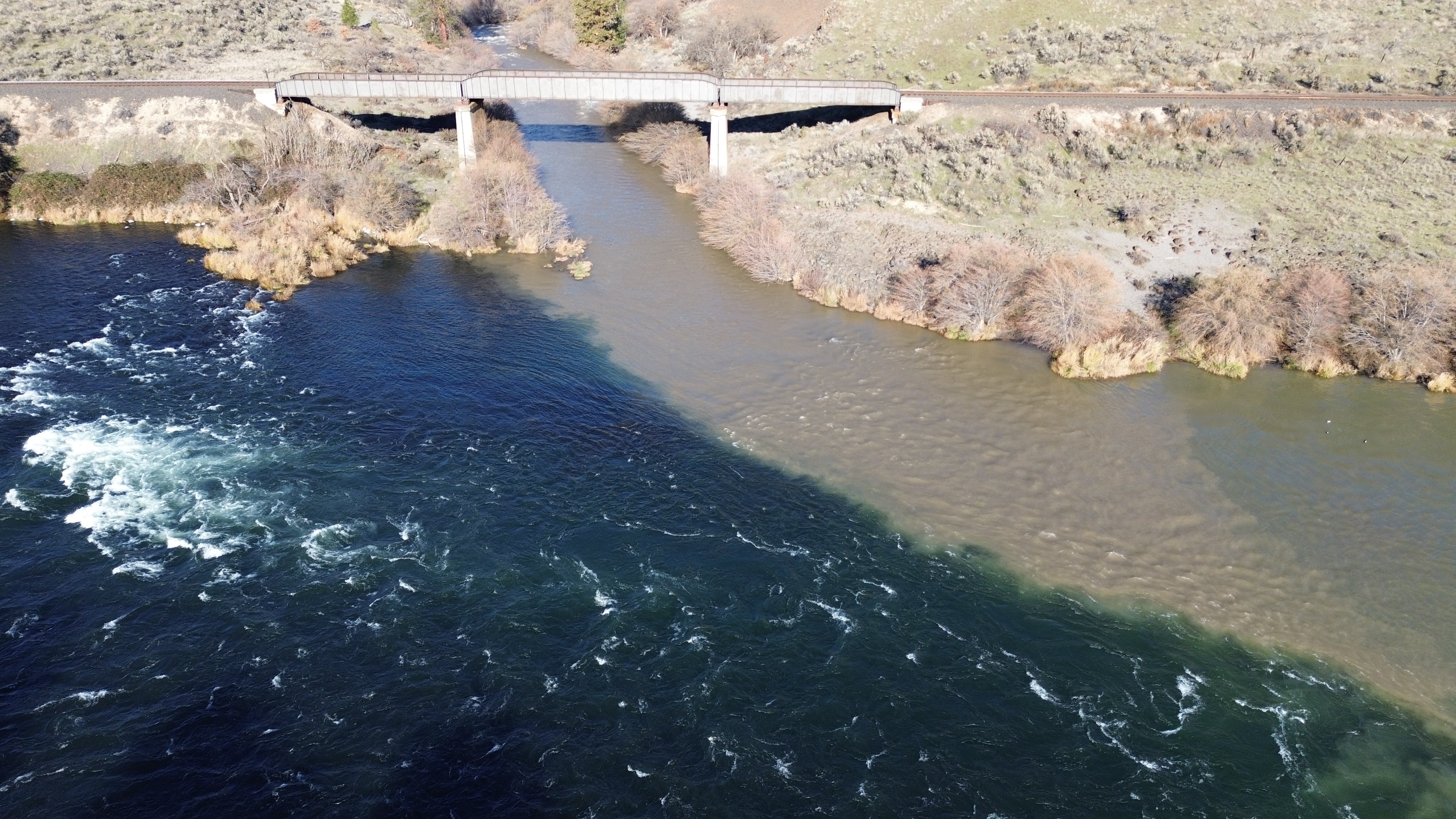 Saturday - Check out the White River!