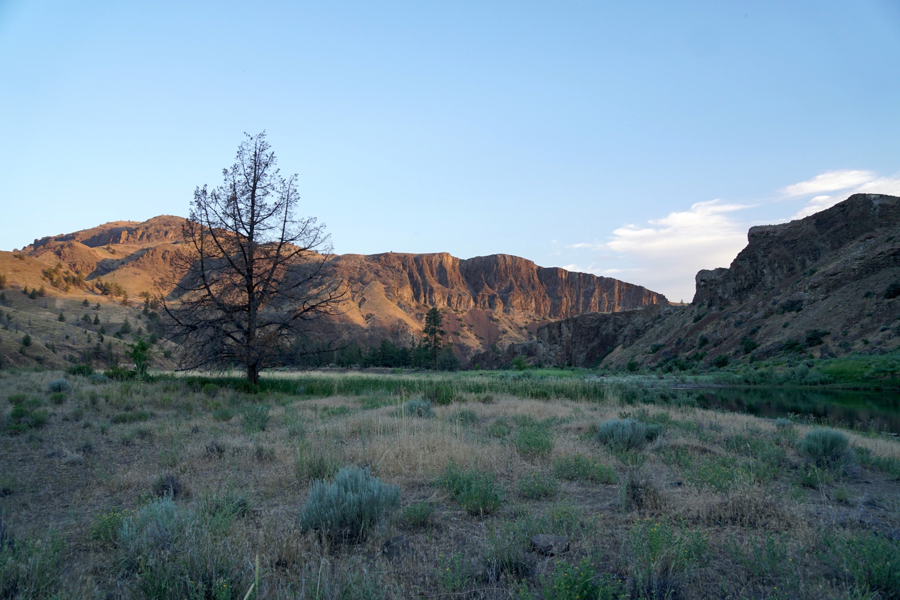 Deschutes Angler Fishing Report
