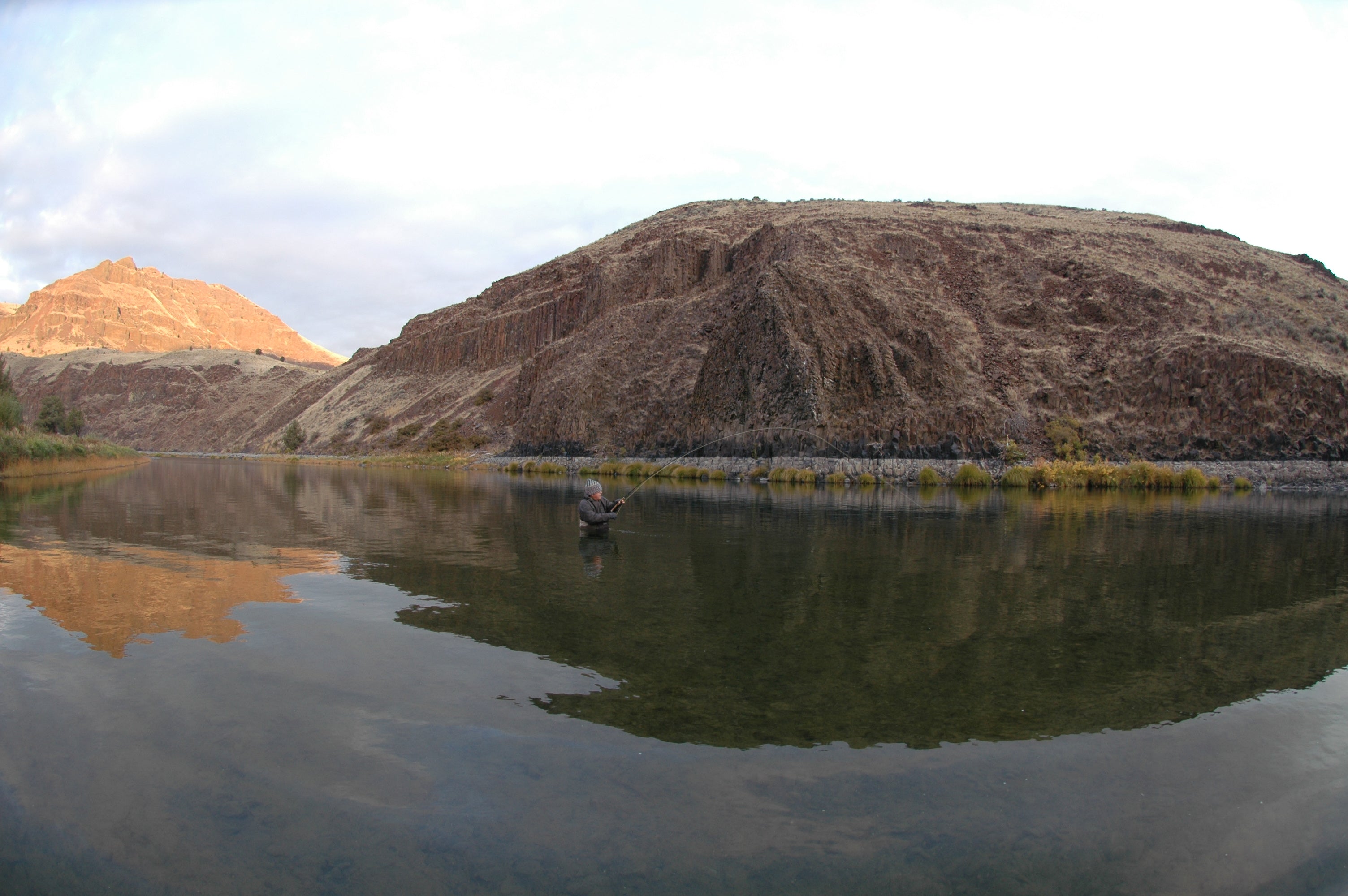 What Happened to All the Steelhead?