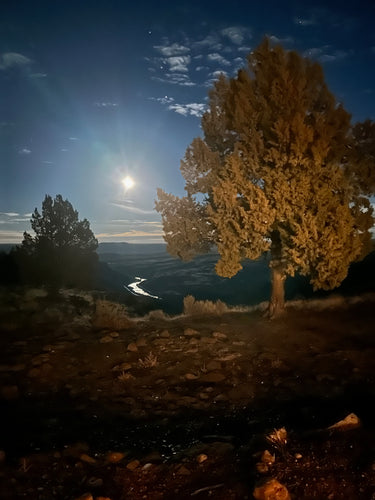 Thursday Quick Report