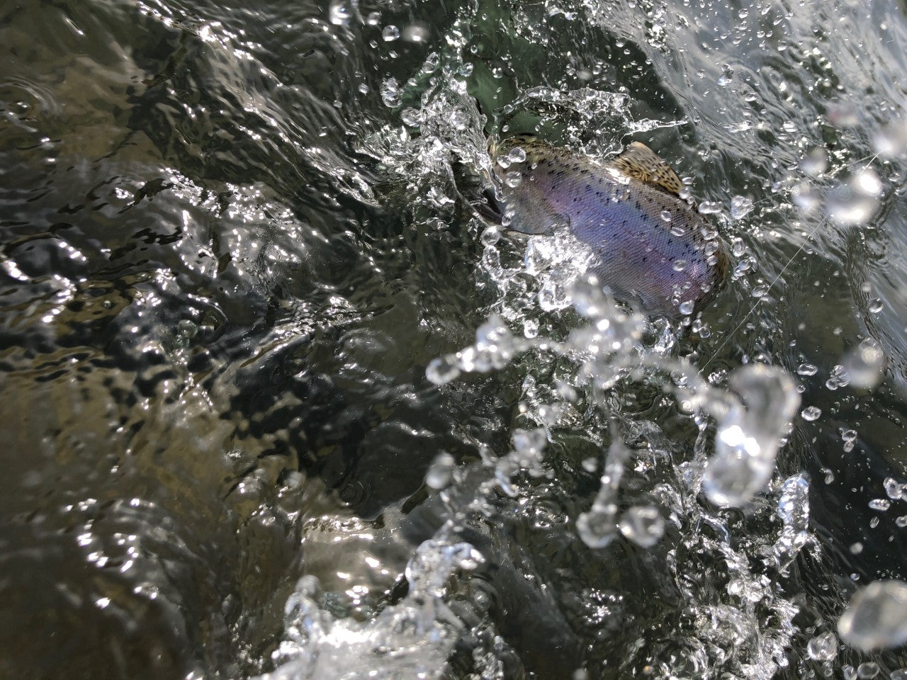 Beautiful Weekend on the Horizon!