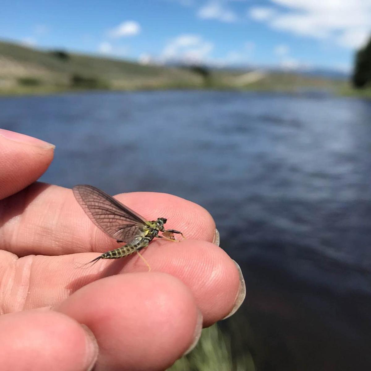 Treat yourself to a Big Bowl of Vegetable Soup!!