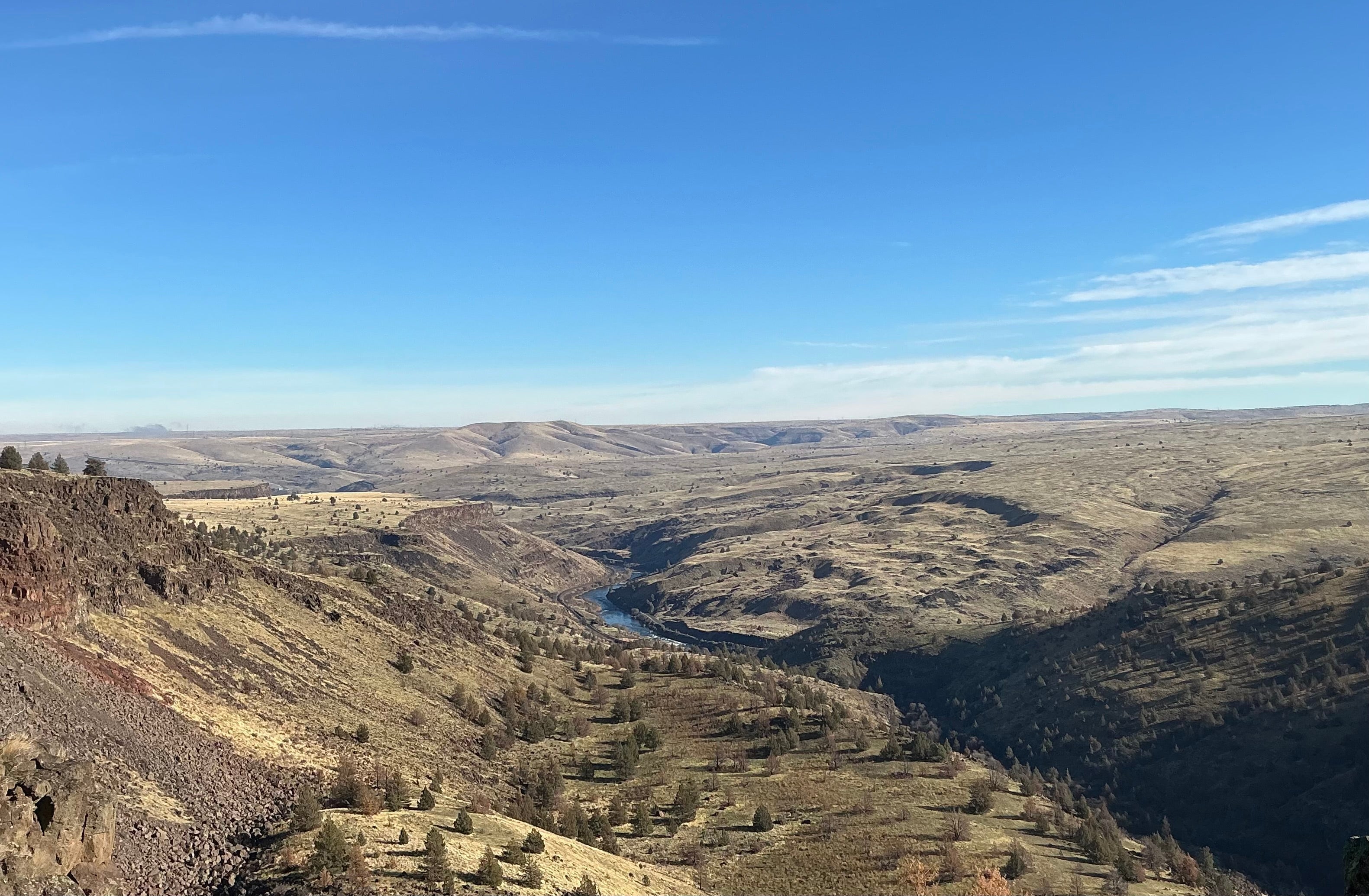 Come to the Sunny Side!