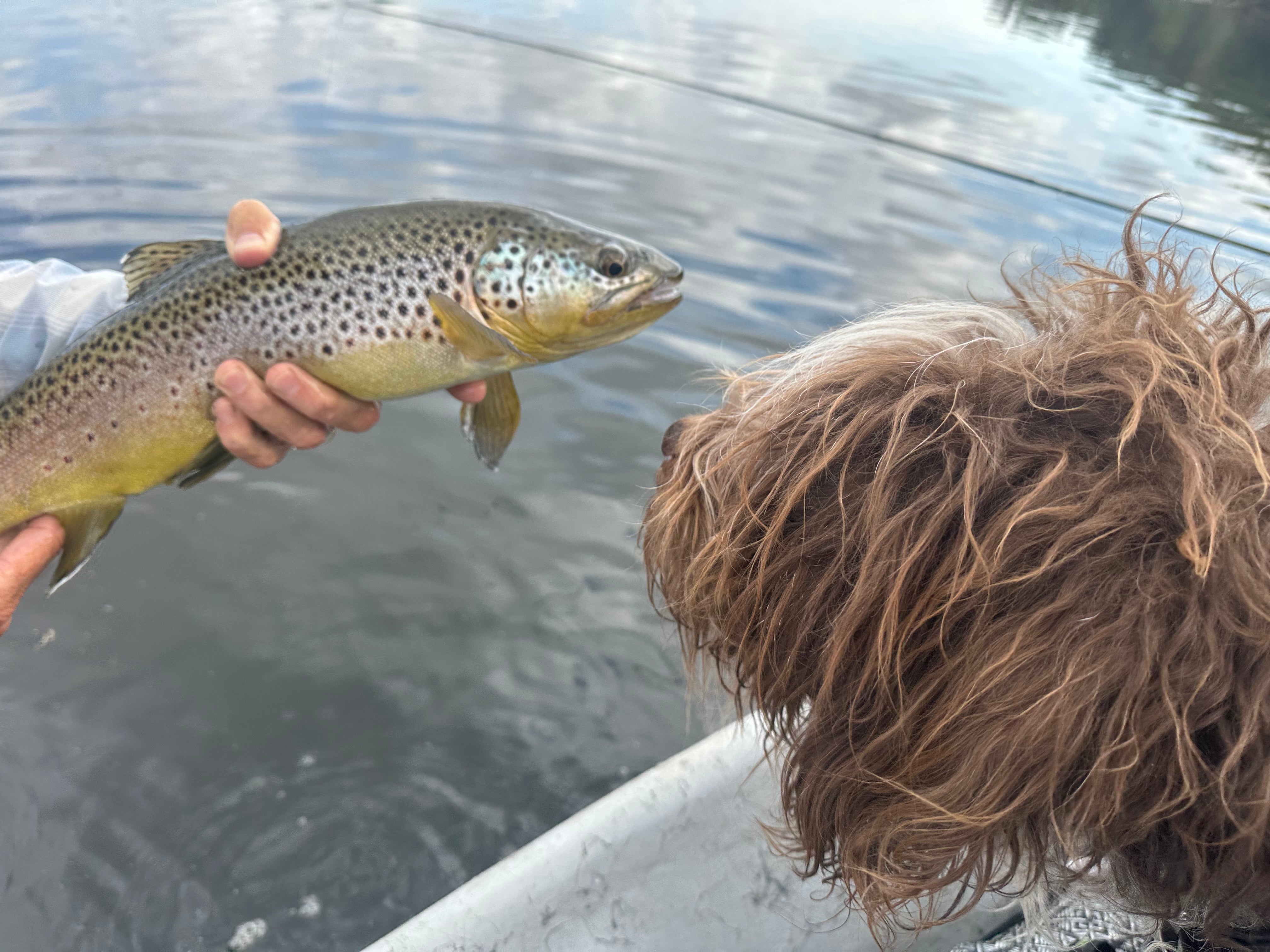 August is here, already??