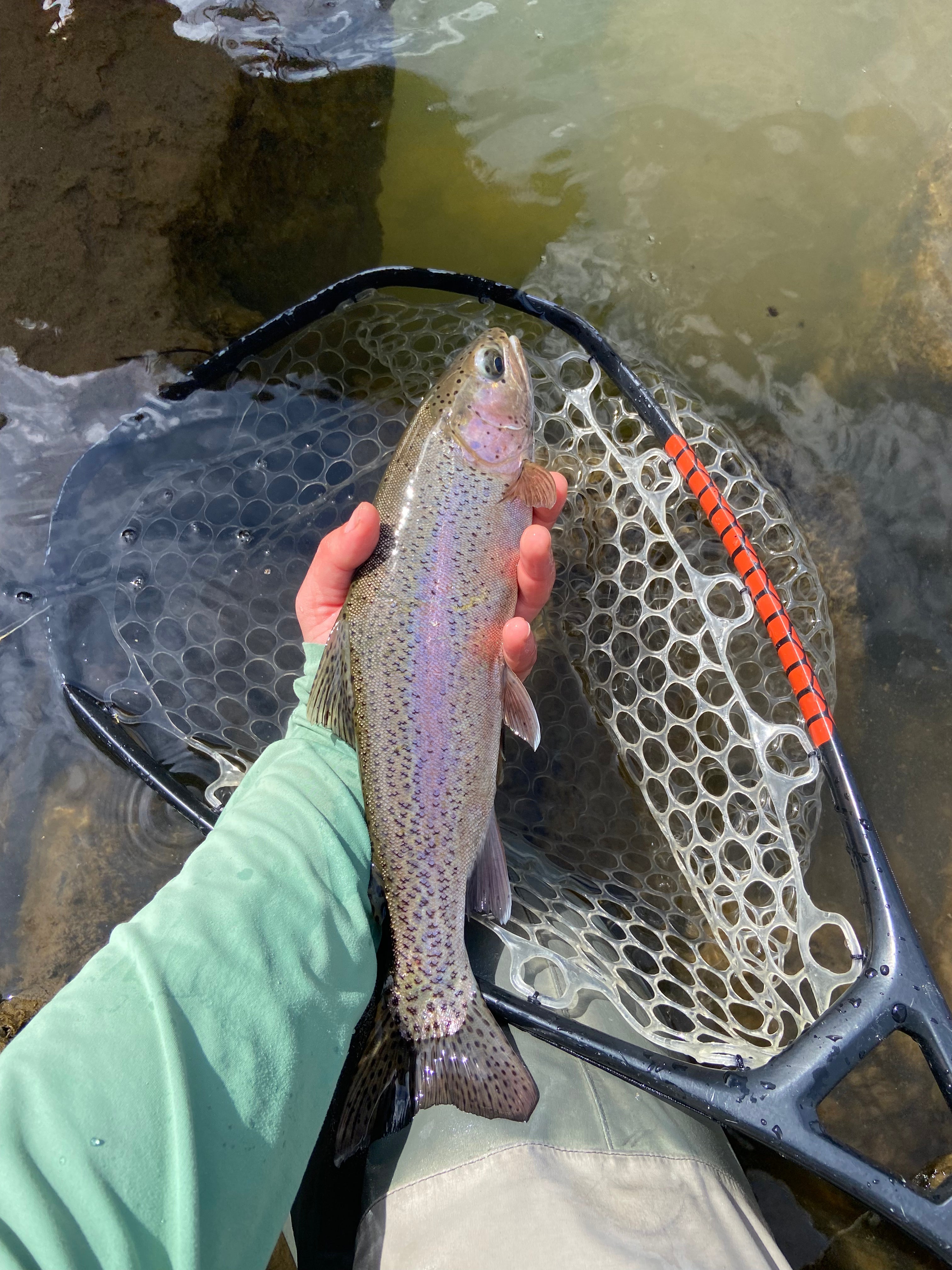 Crazy Weather and Great Fishing!