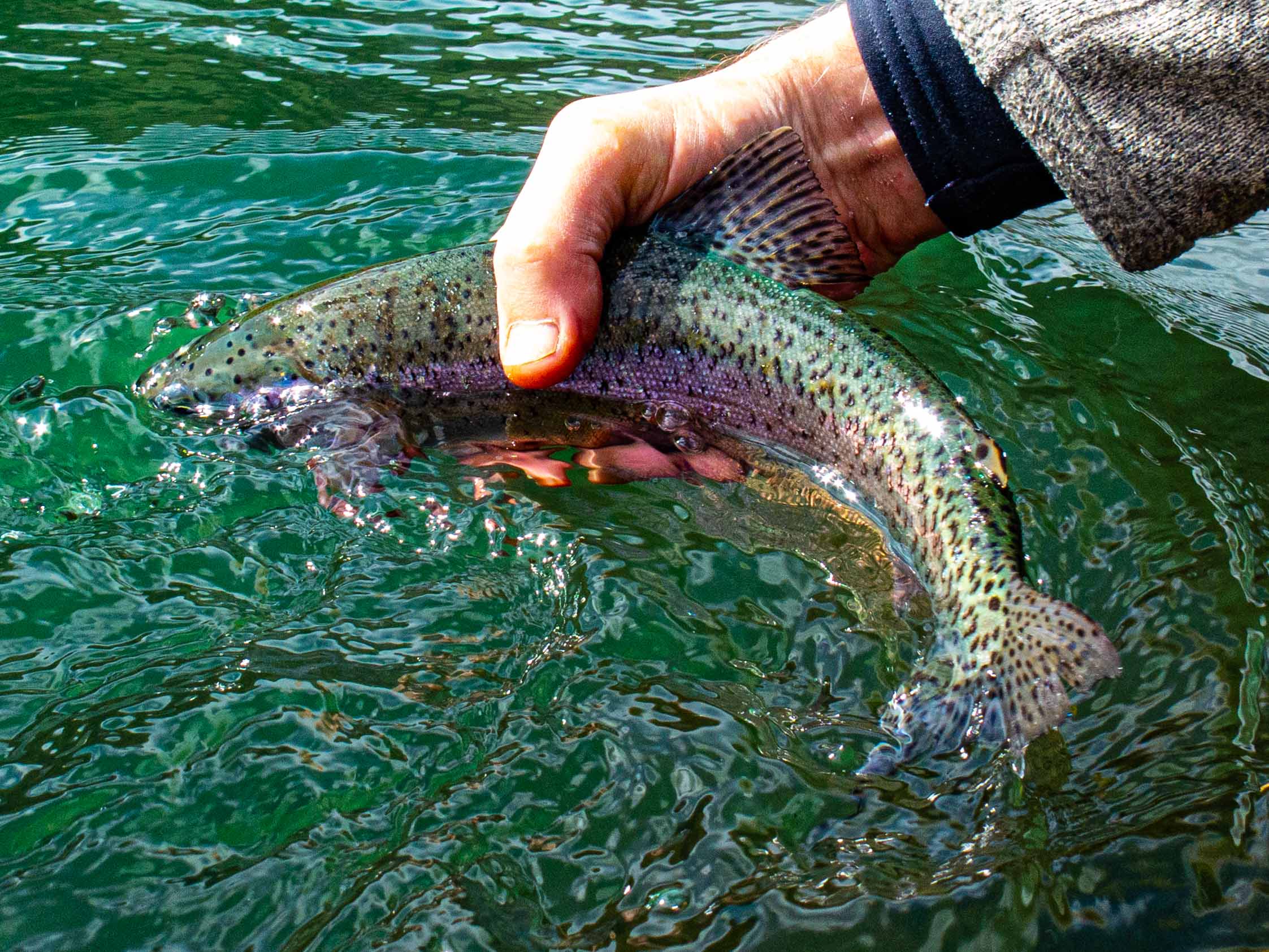 Stormy Saturday Ahead and a Beautiful Sunday