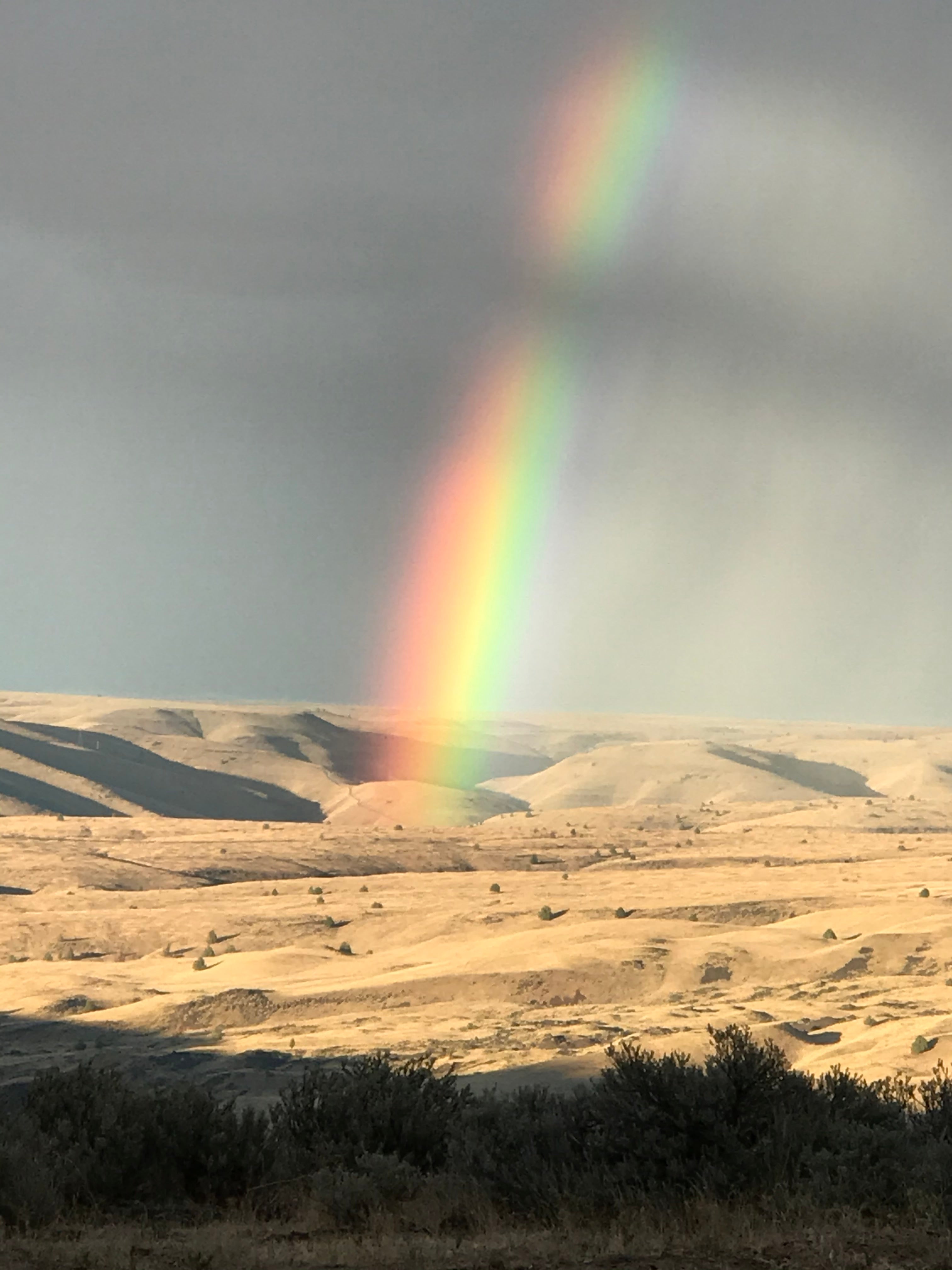 It feels like SUMMER!