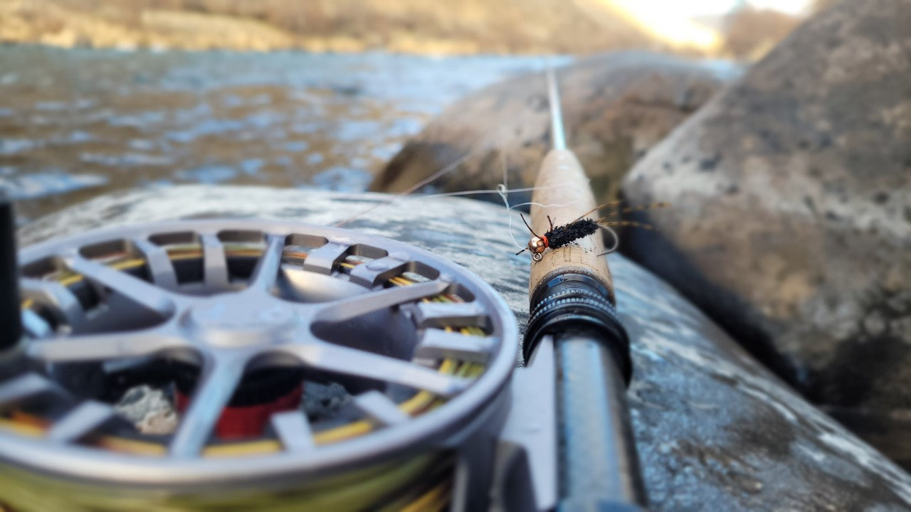 Cruising into February