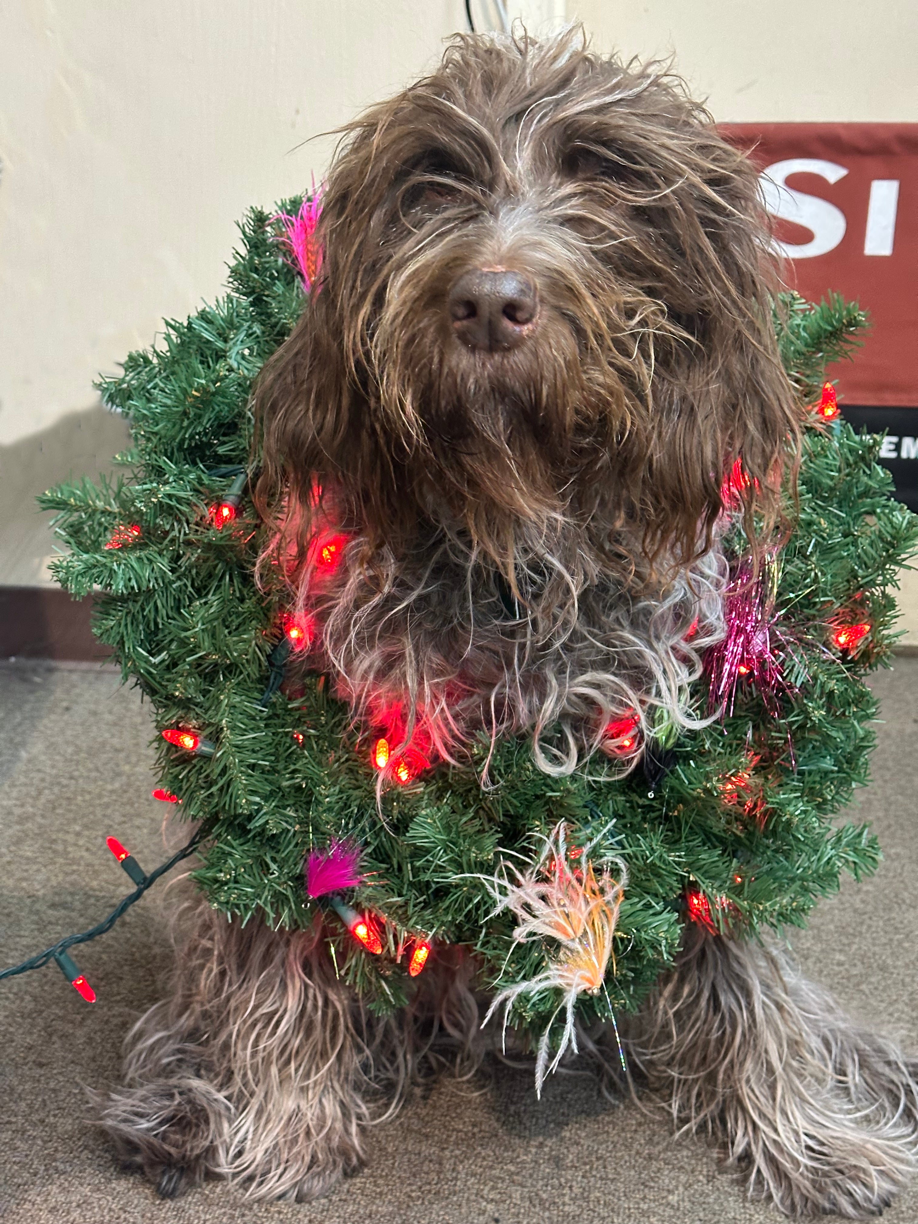 Pulling back the curtain on the Deschutes Situation