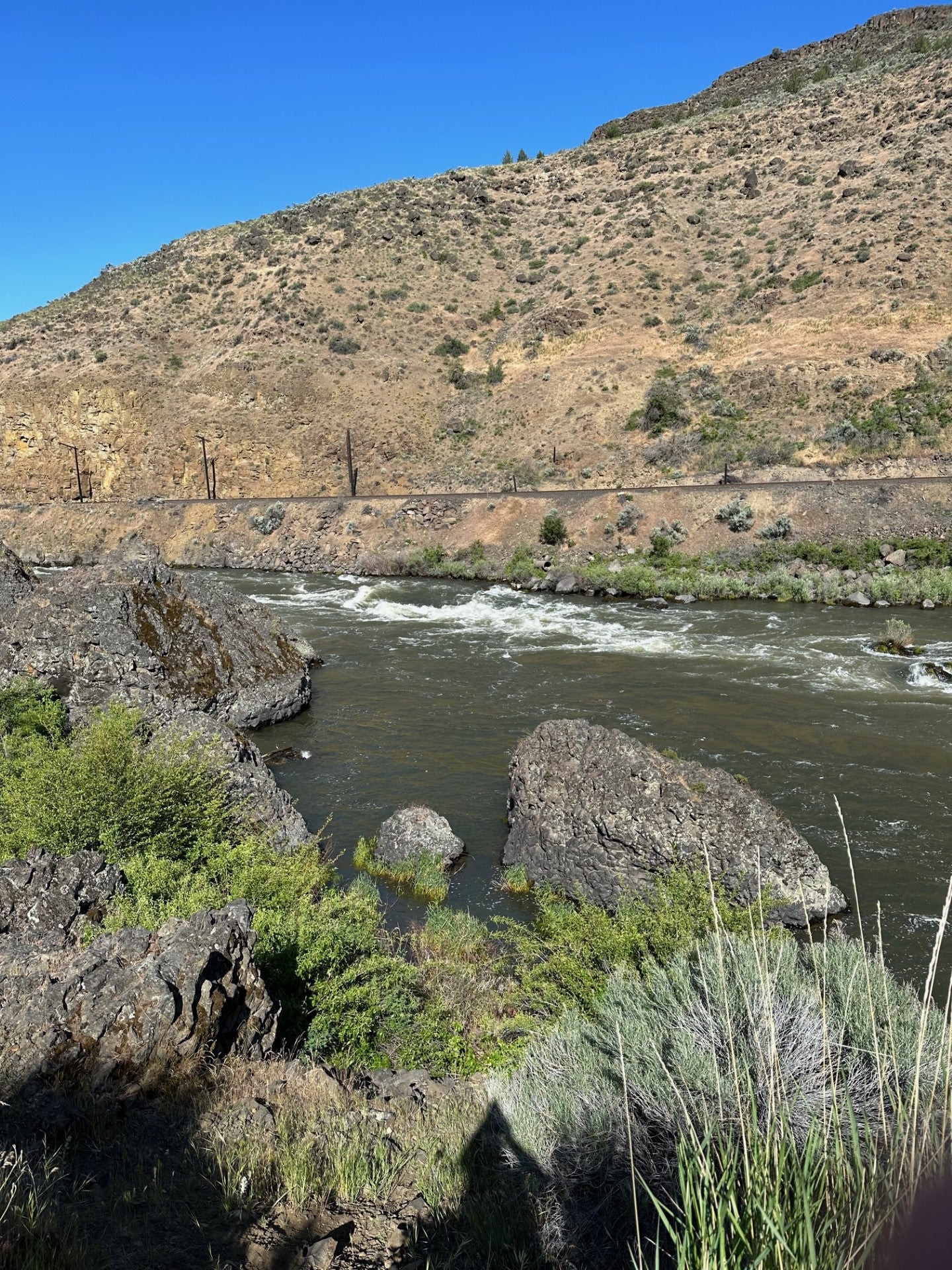 The River - Tuesday Morning