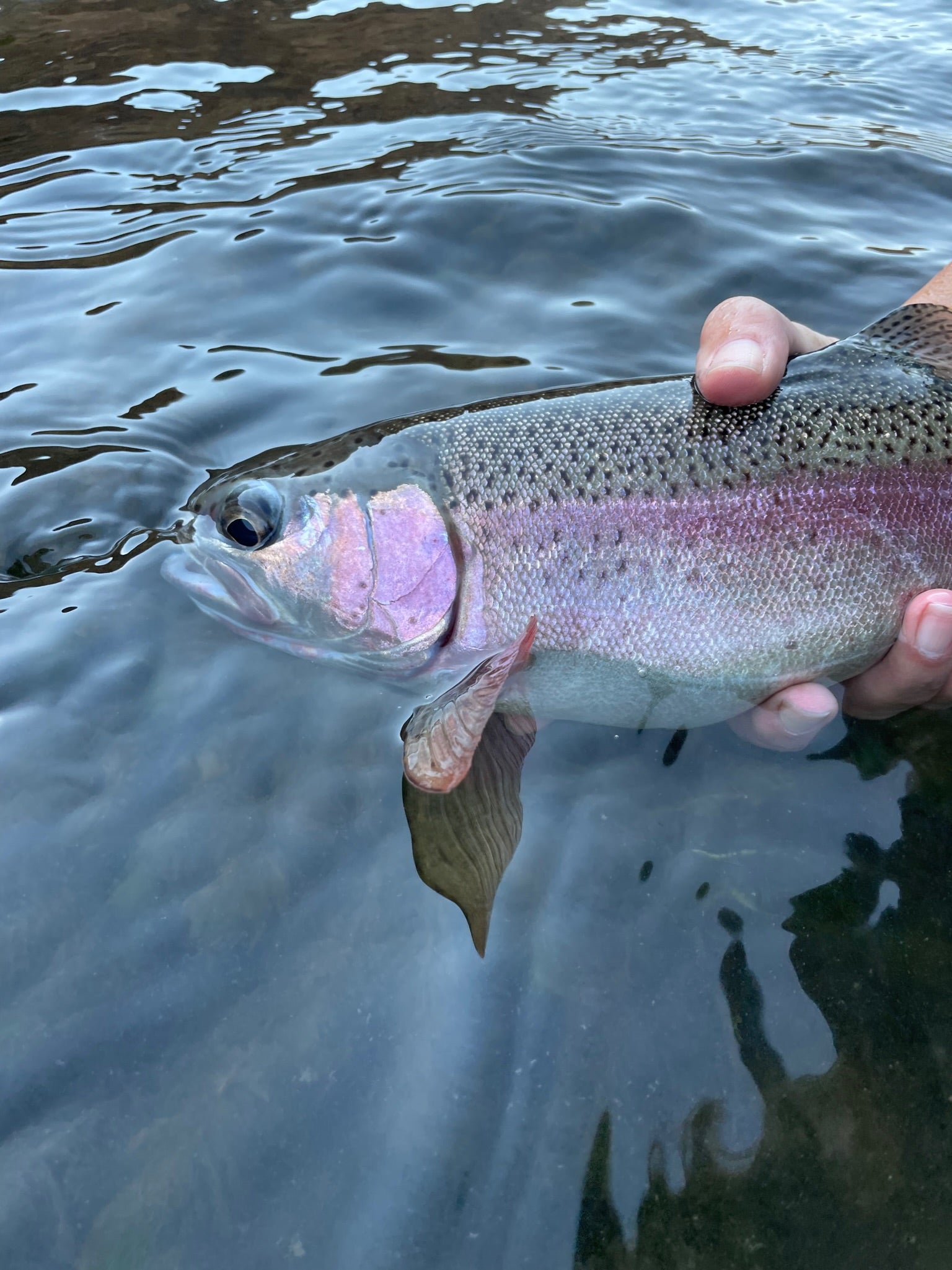 Planning your Deschutes Adventure