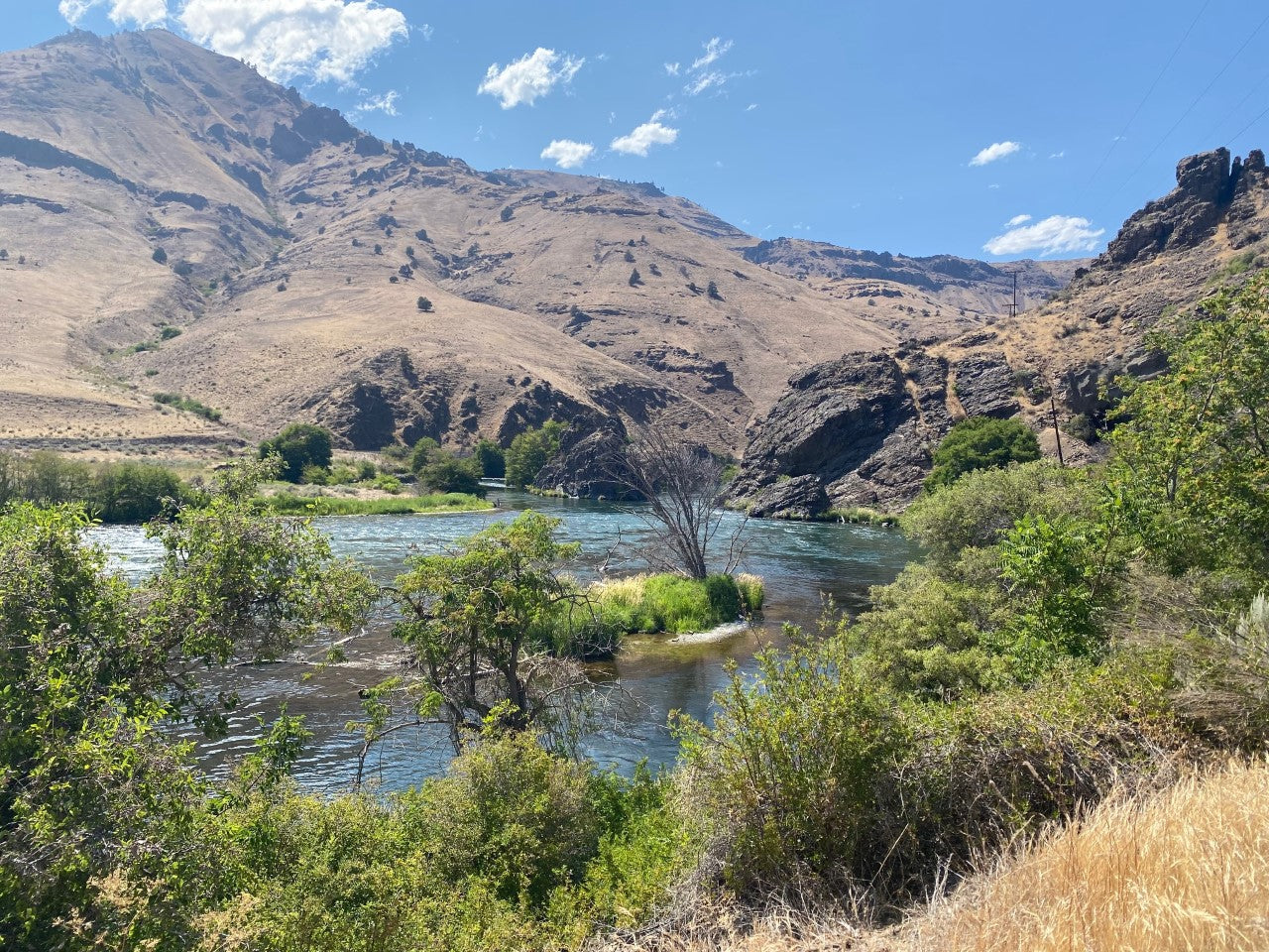 Cruising through the summer