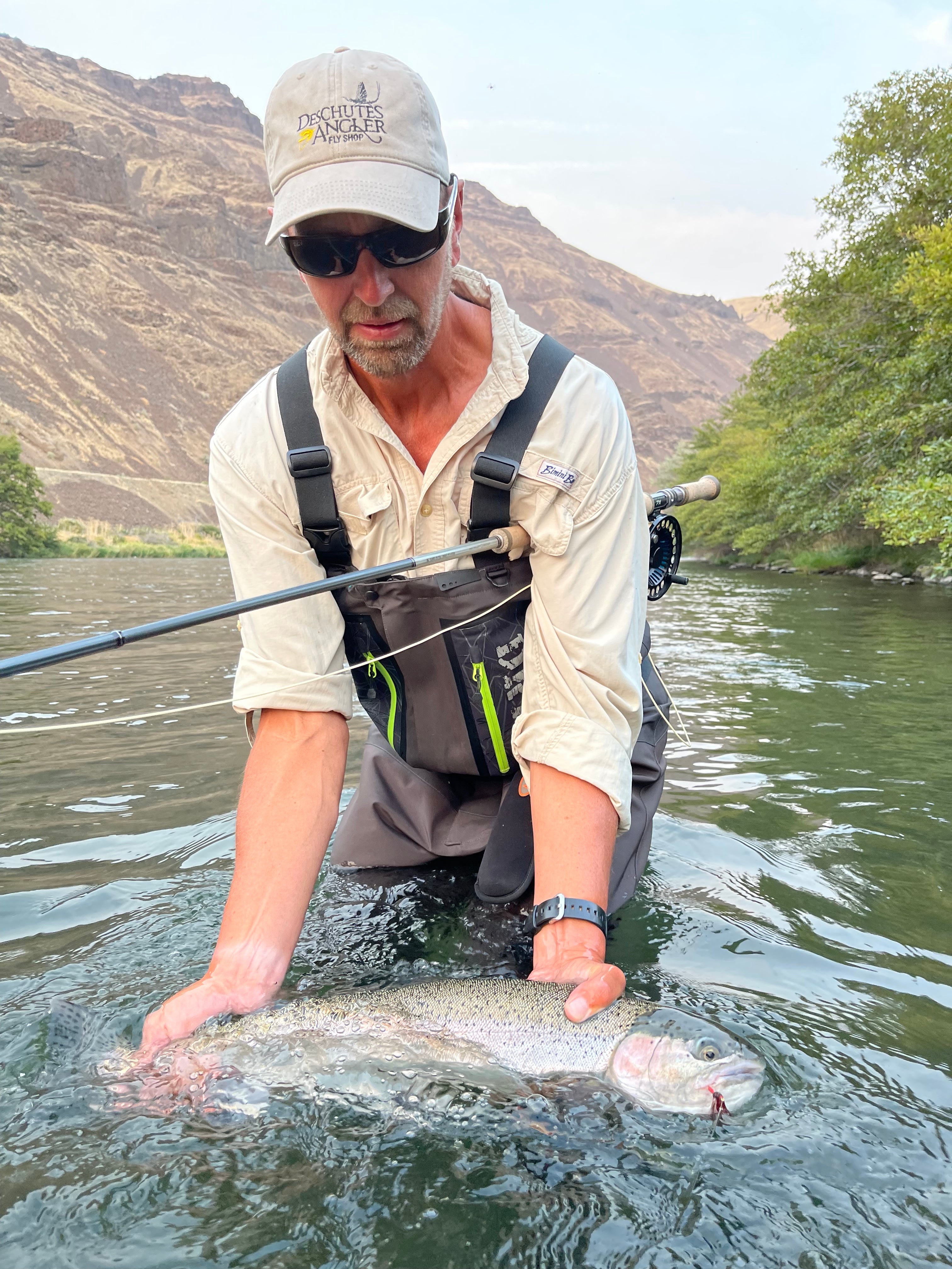 Flies, Flies, Flies!!!