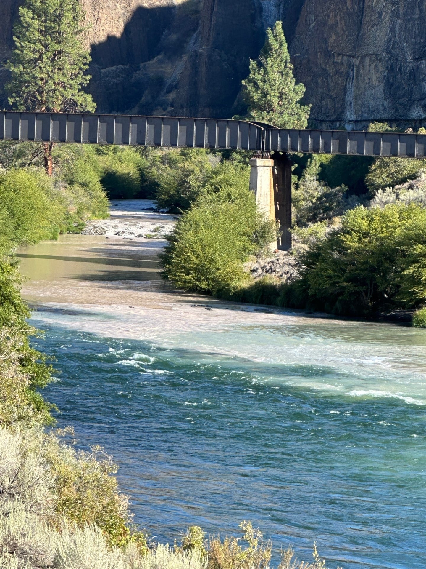 Possible damper on weekend steelhead plans...