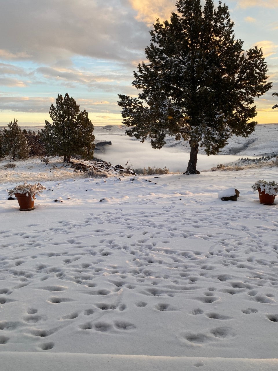 Mid-winter peace and quiet