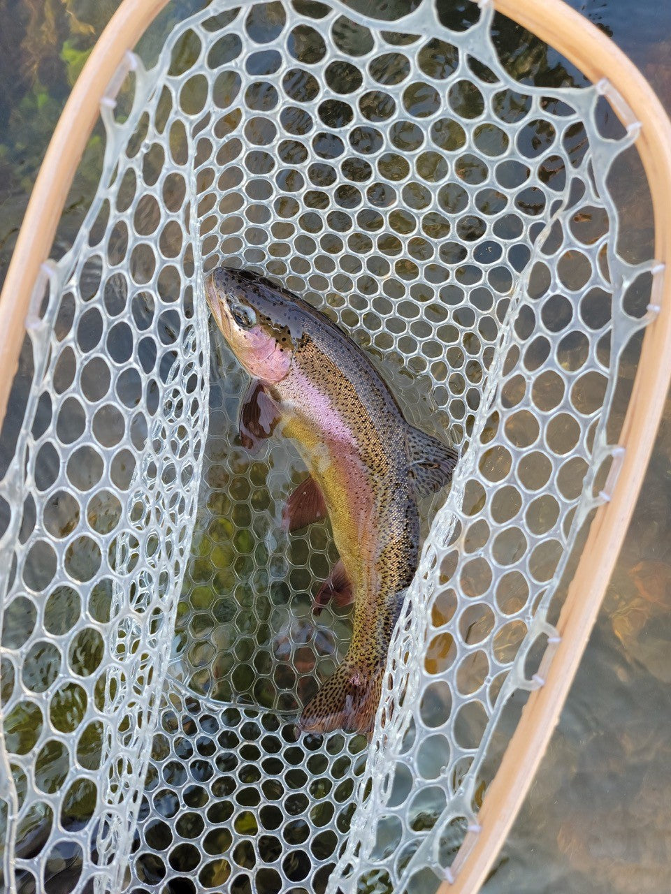 Working within the Hoot Owl closures