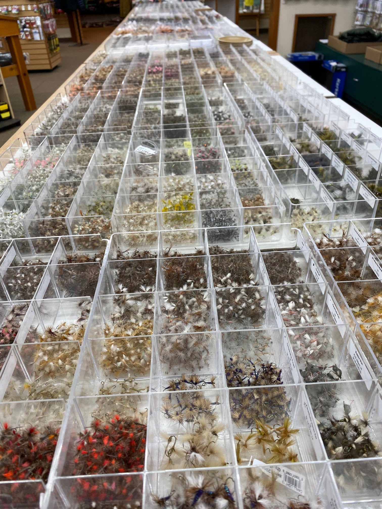 Deschutes Angler Fishing Report