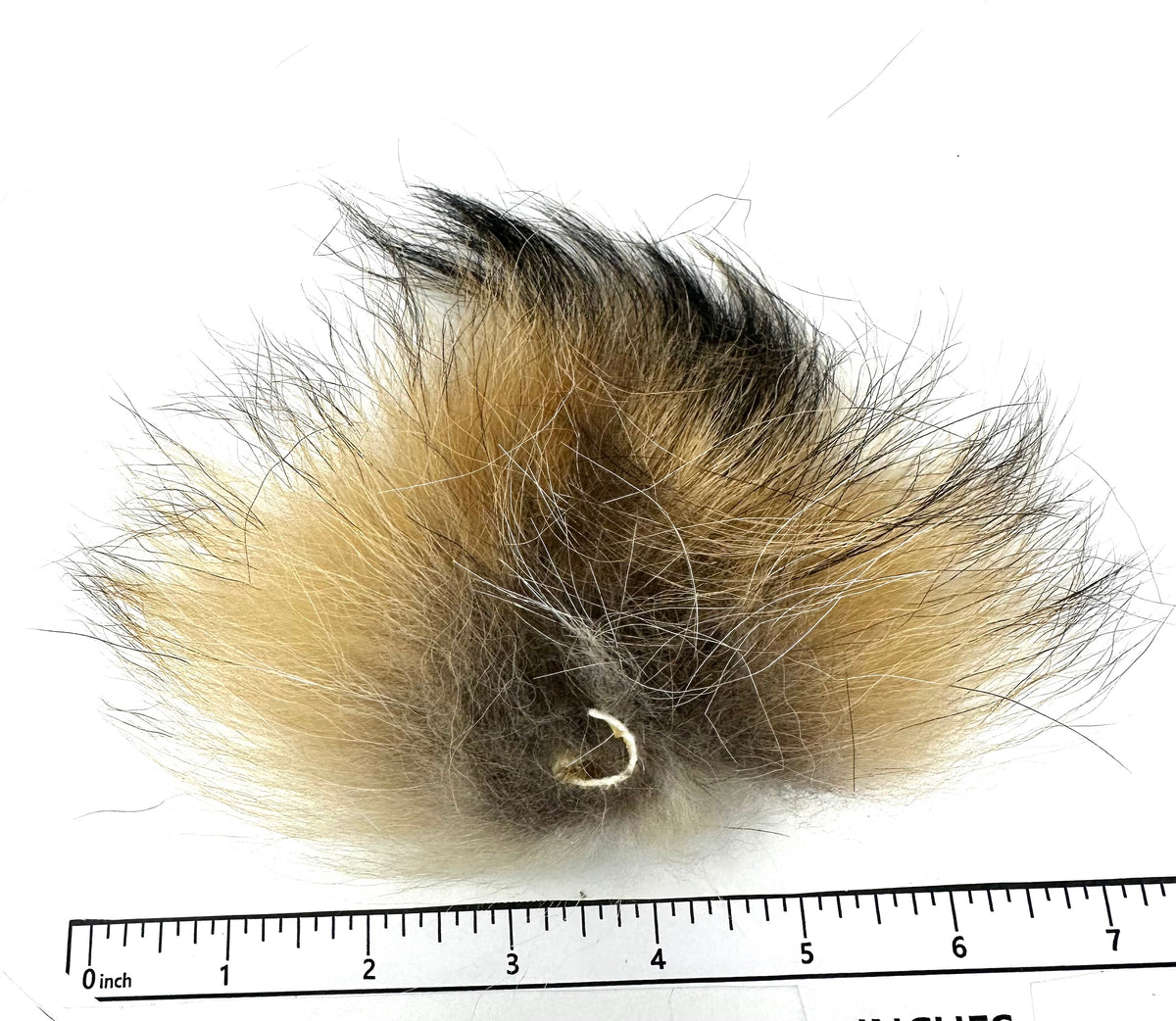 Finn Raccoon– Deschutes Angler Fly Shop