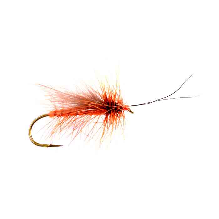 CDC Salmon Fly Adult Deschutes Angler Fly Shop