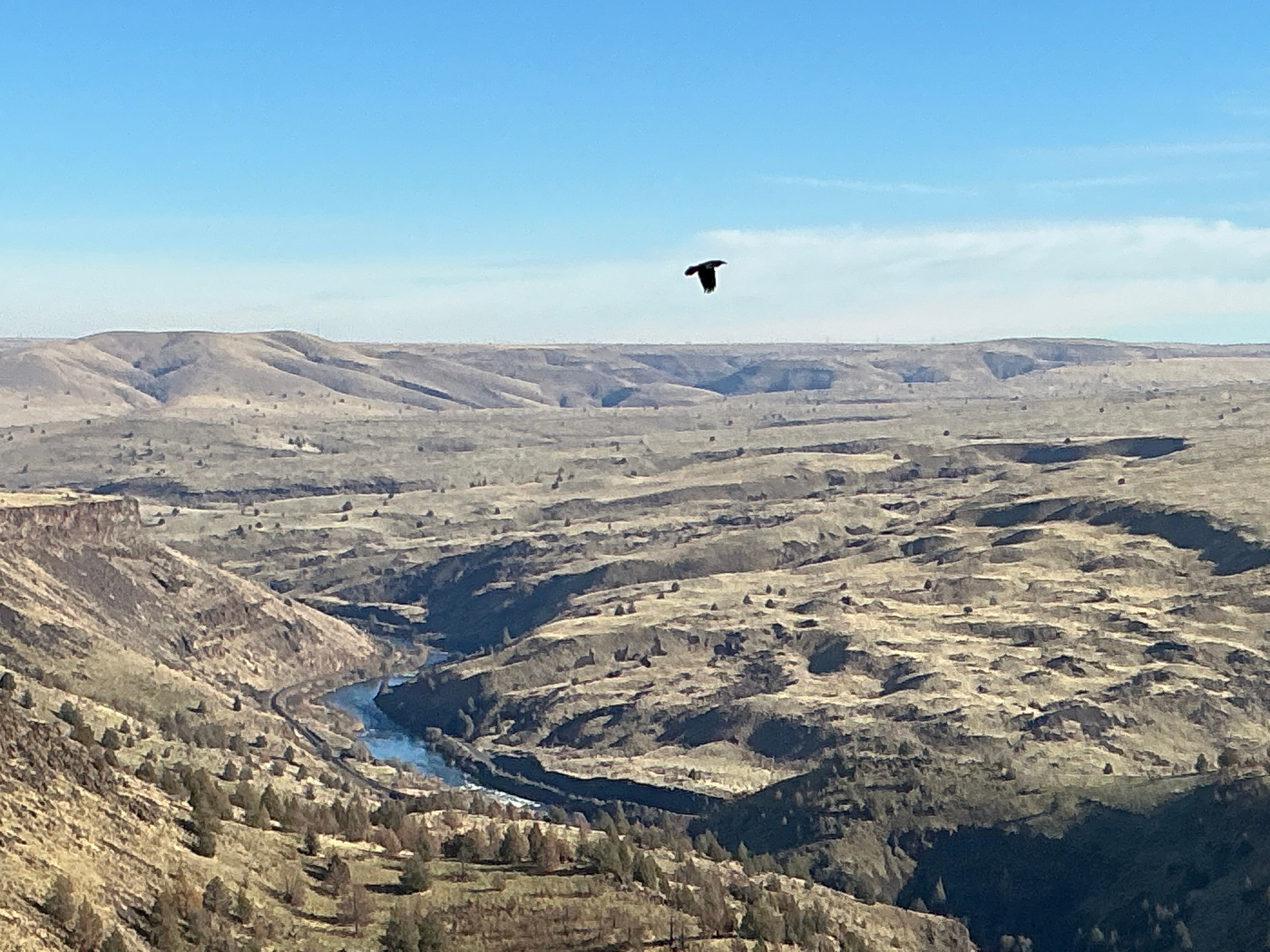 The rain is finally coming