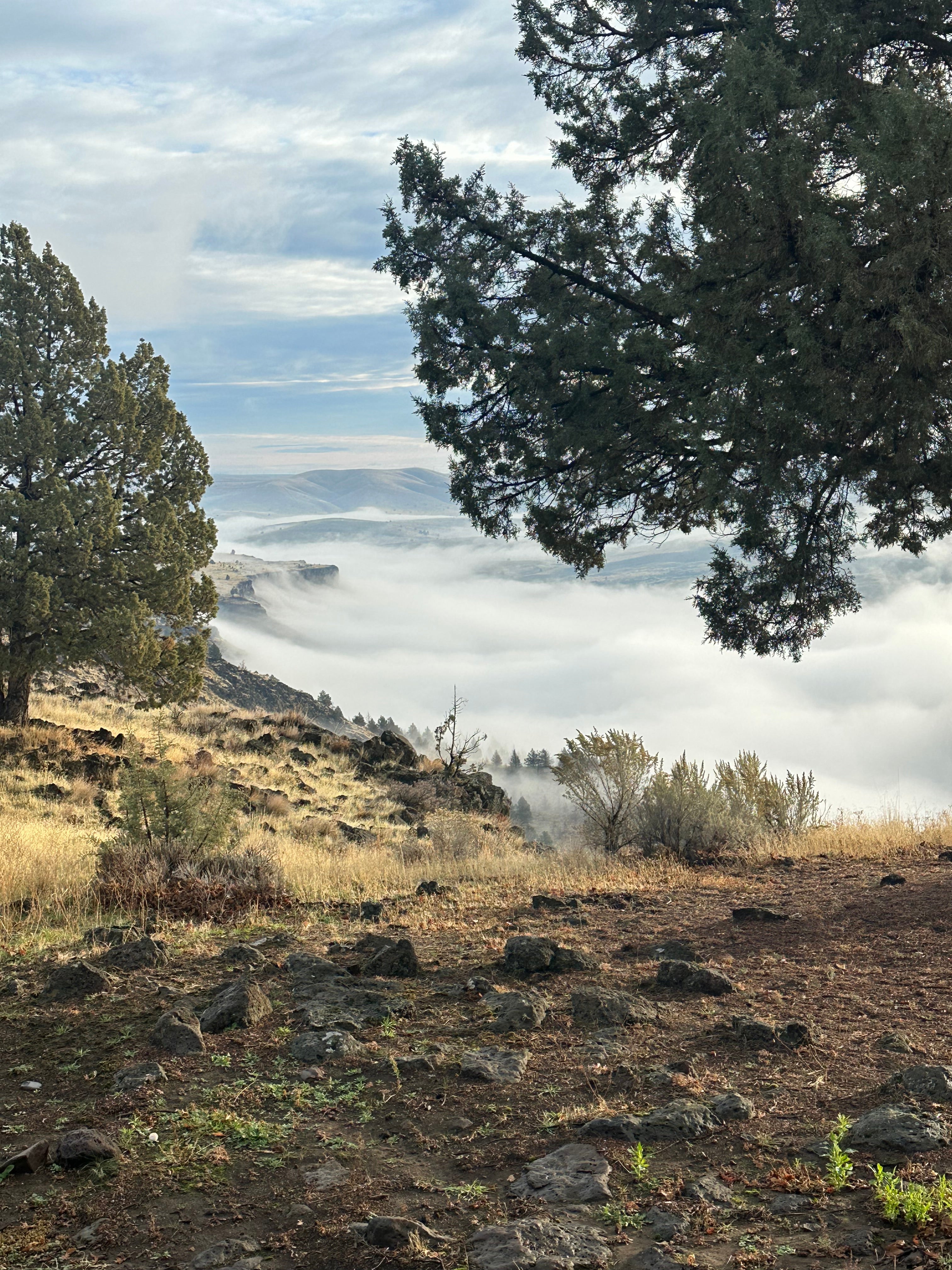 Rain Coming on Sunday