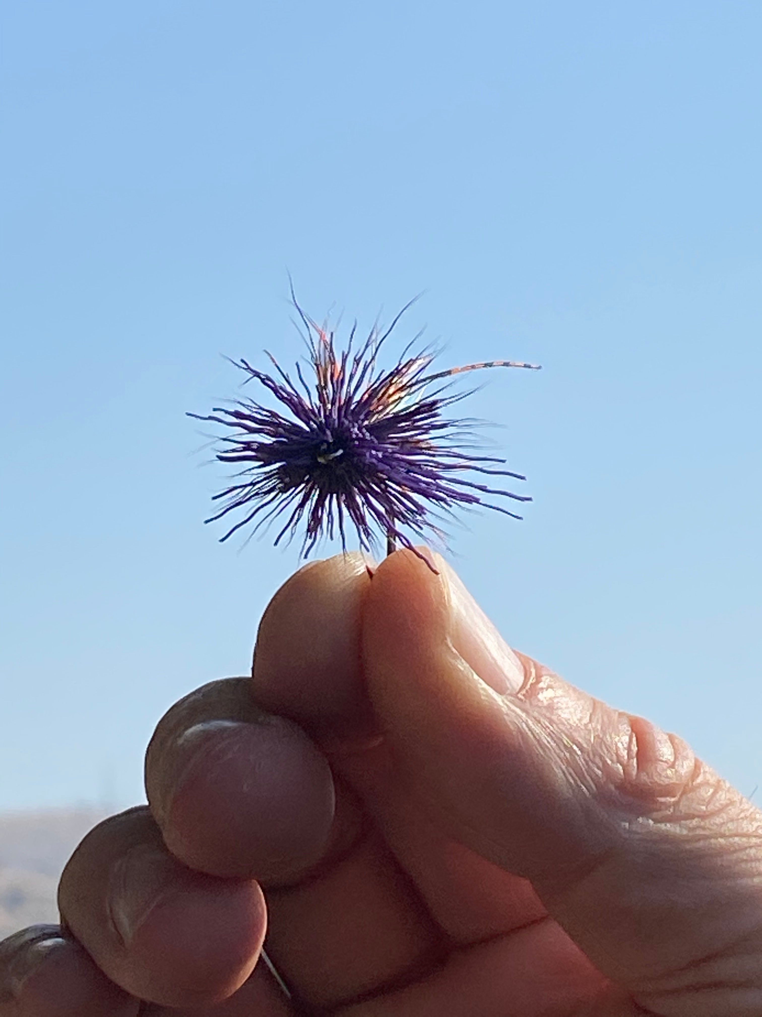 Interesting weather this week