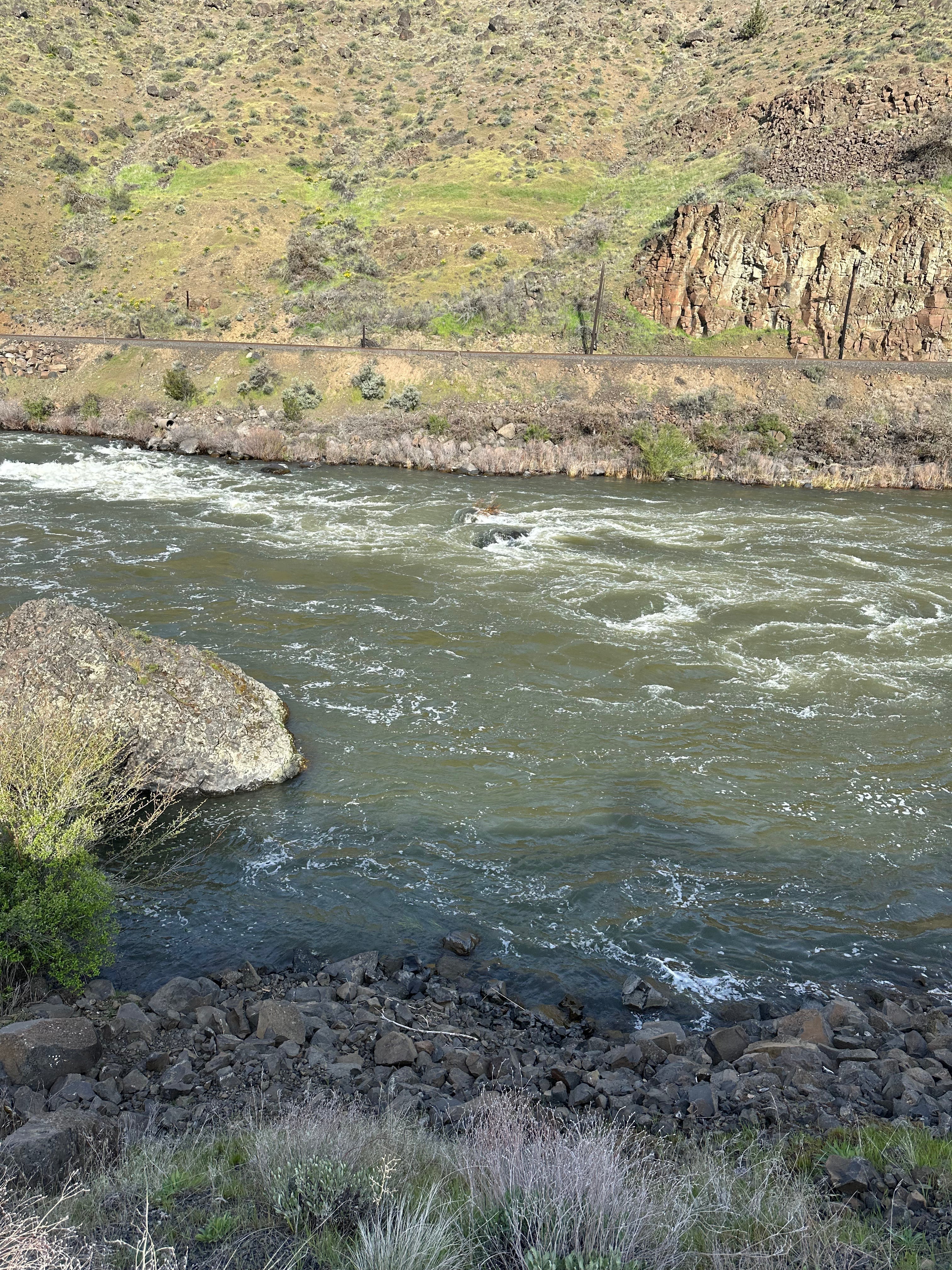 Wild Water Week