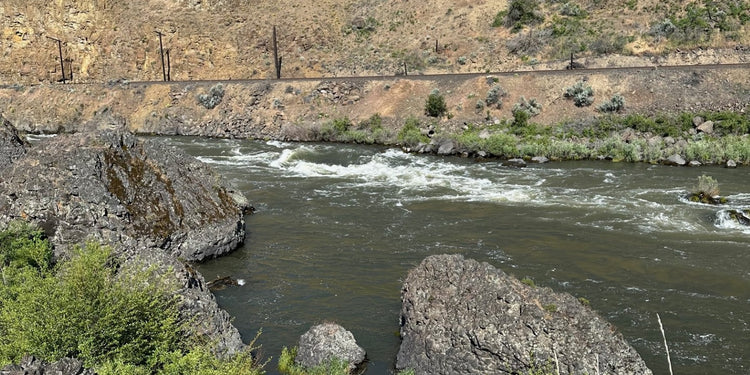 The Online Fly Fishing Store - Guided Fly Fishing | Deschutes Angler ...