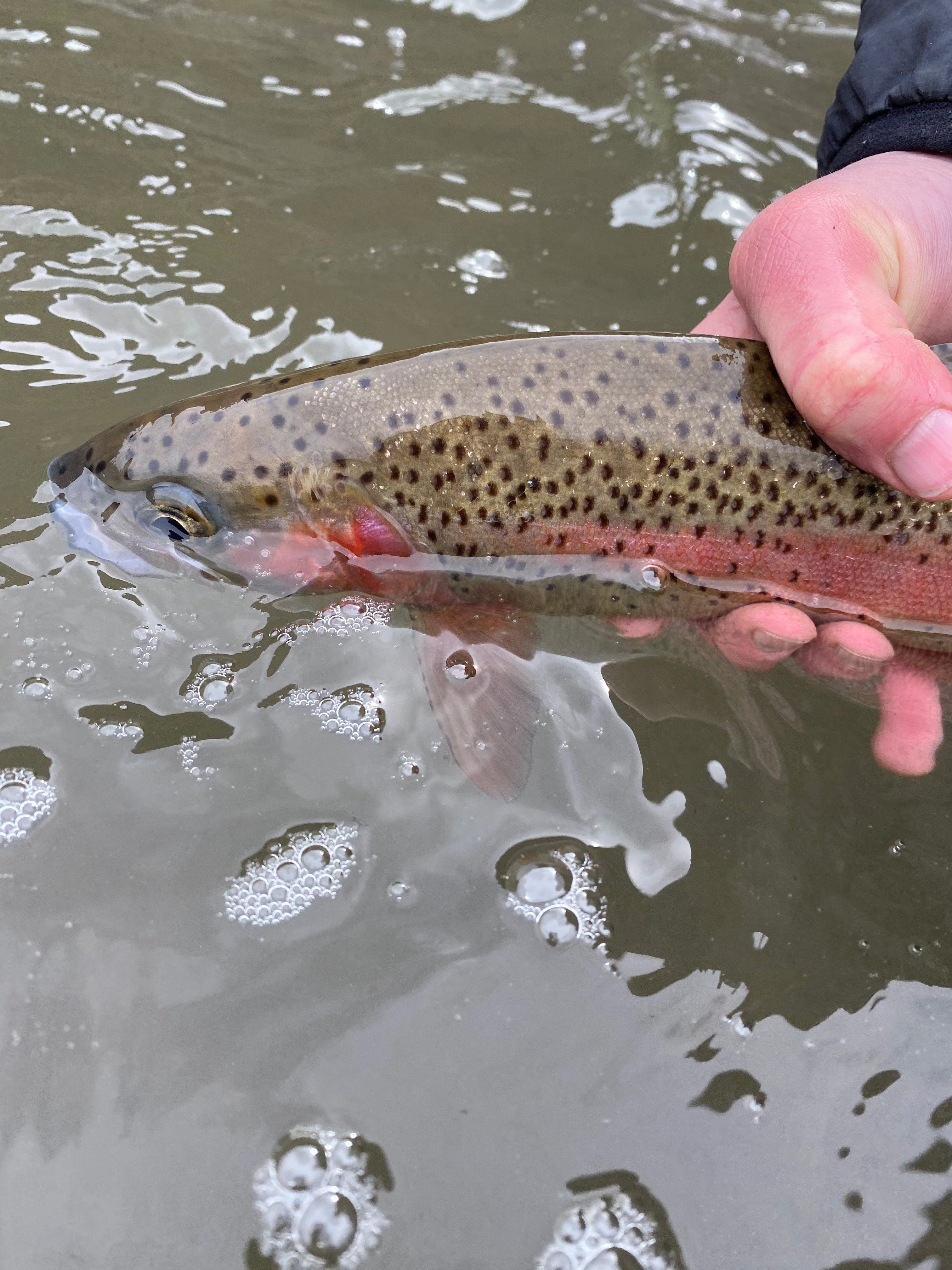 Heading into July - We are CLOSED on the 4th