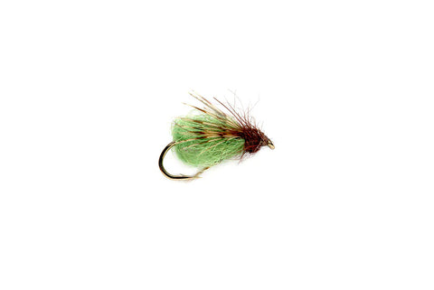 La Fontaine's Emergent Sparkle Pupa