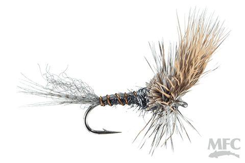 Flash Cripple - Grey