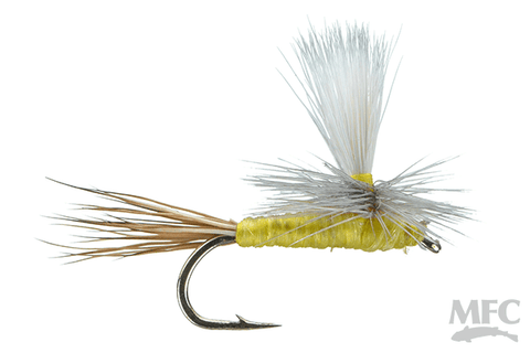 Carlson's Yellow Haze