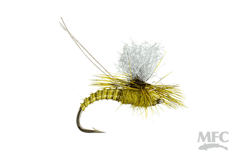 Christiaens' GT Adult Green Drake