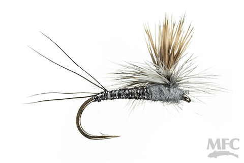 Keller's Rocky Mountain Mint - Adams