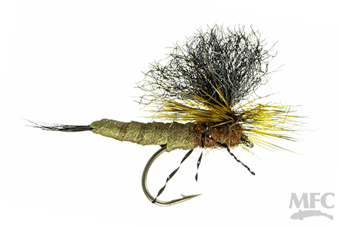 Trina's Carnage Drake