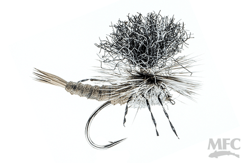 Trina's Carnage Drake