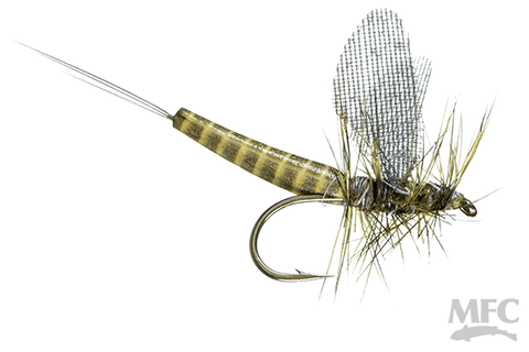 Lucent Wing True Drake