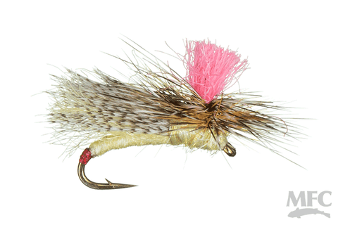 Foamy Finfetcher Sally