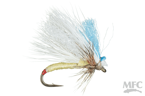 High Rise Foam Sally