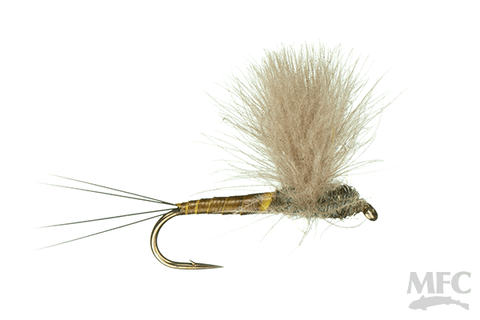 Quill Body CDC Comparadun - BWO