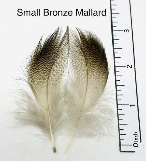 Bronze Mallard Flank Feathers