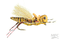 KK's Henneberry Hopper