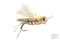 KK's Henneberry Hopper
