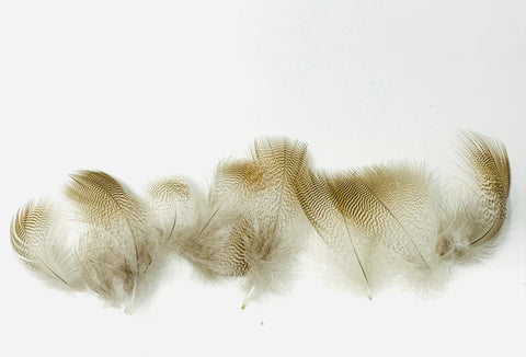 Lemon Wood Duck Flank