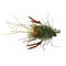 EP Tarantula Crab