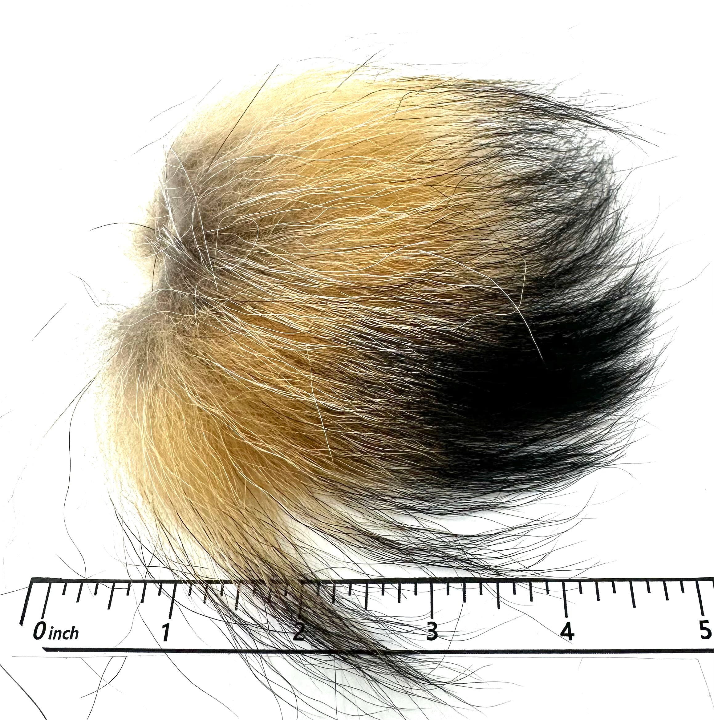 Finn Raccoon– Deschutes Angler Fly Shop