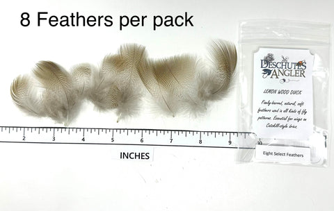 Lemon Wood Duck Flank