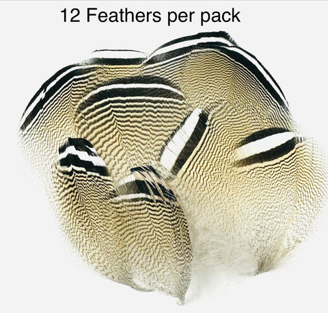 Barred Wood Duck Flank - Black/White